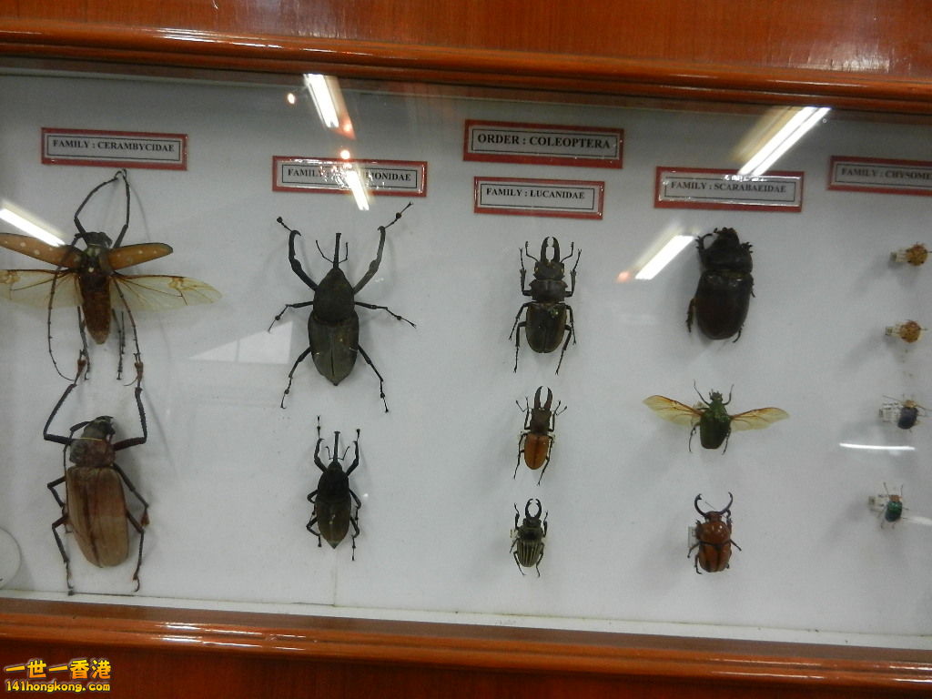 DSCN4413.JPG