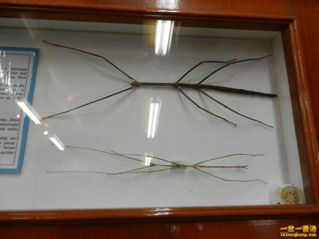DSCN4420.JPG