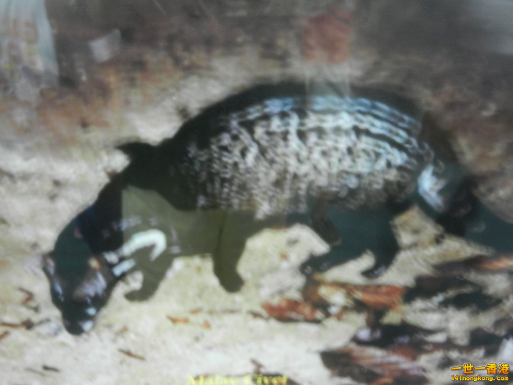 DSCN4424.JPG