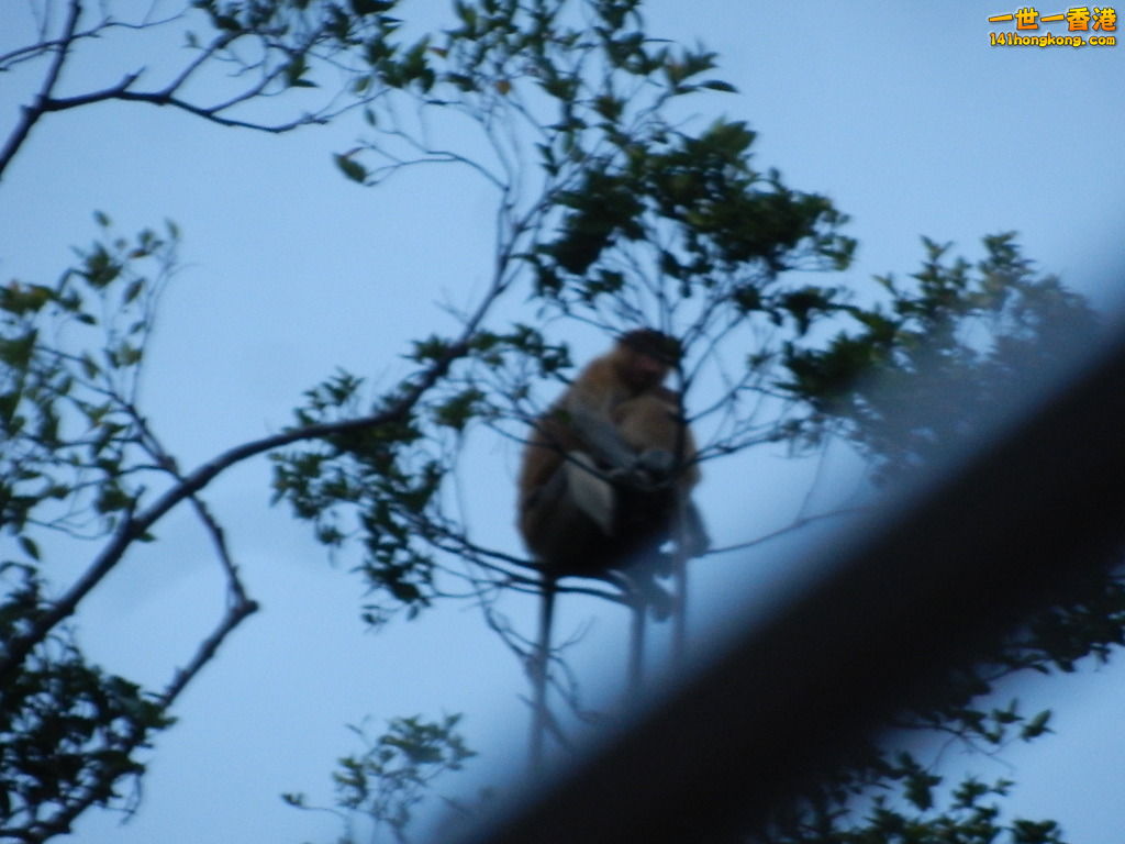 DSCN4539.JPG