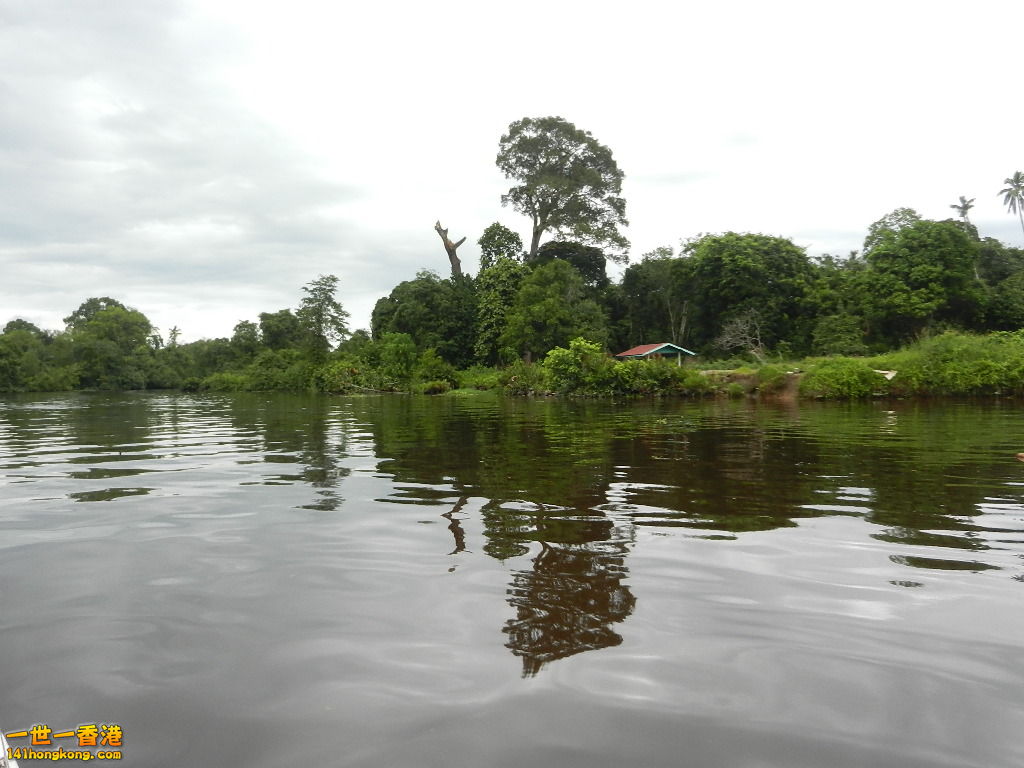DSCN4466.JPG