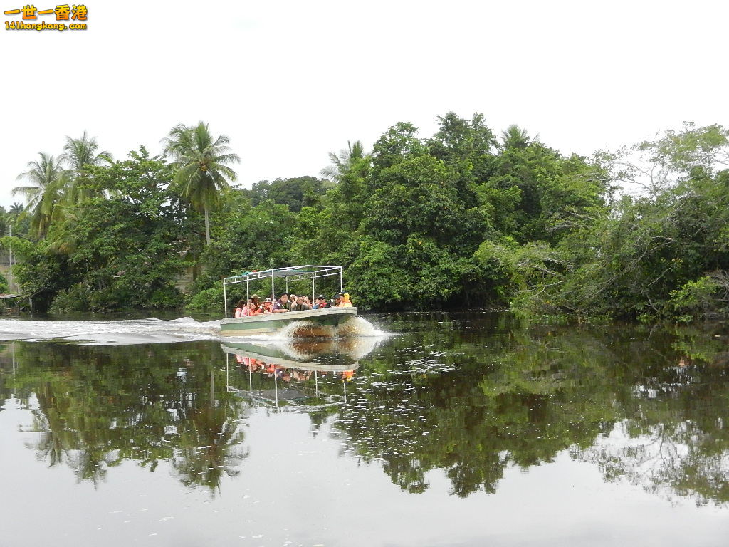 DSCN4477.JPG