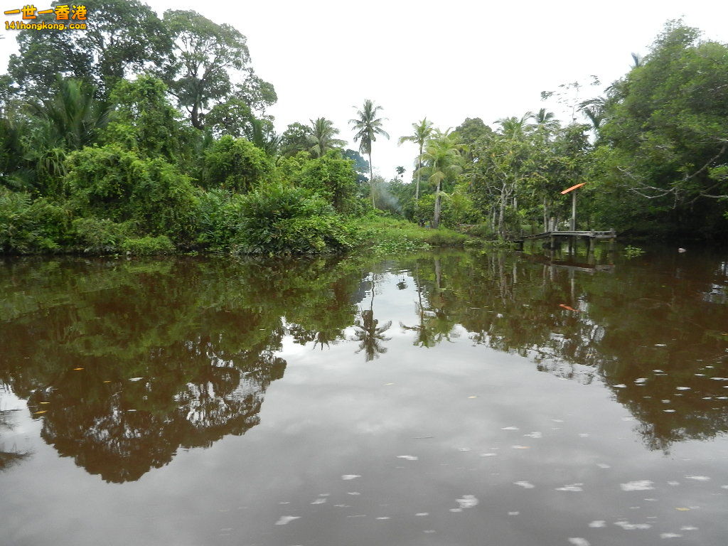 DSCN4492.JPG