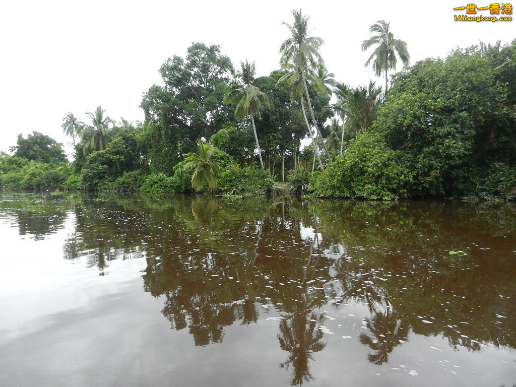 DSCN4493.JPG