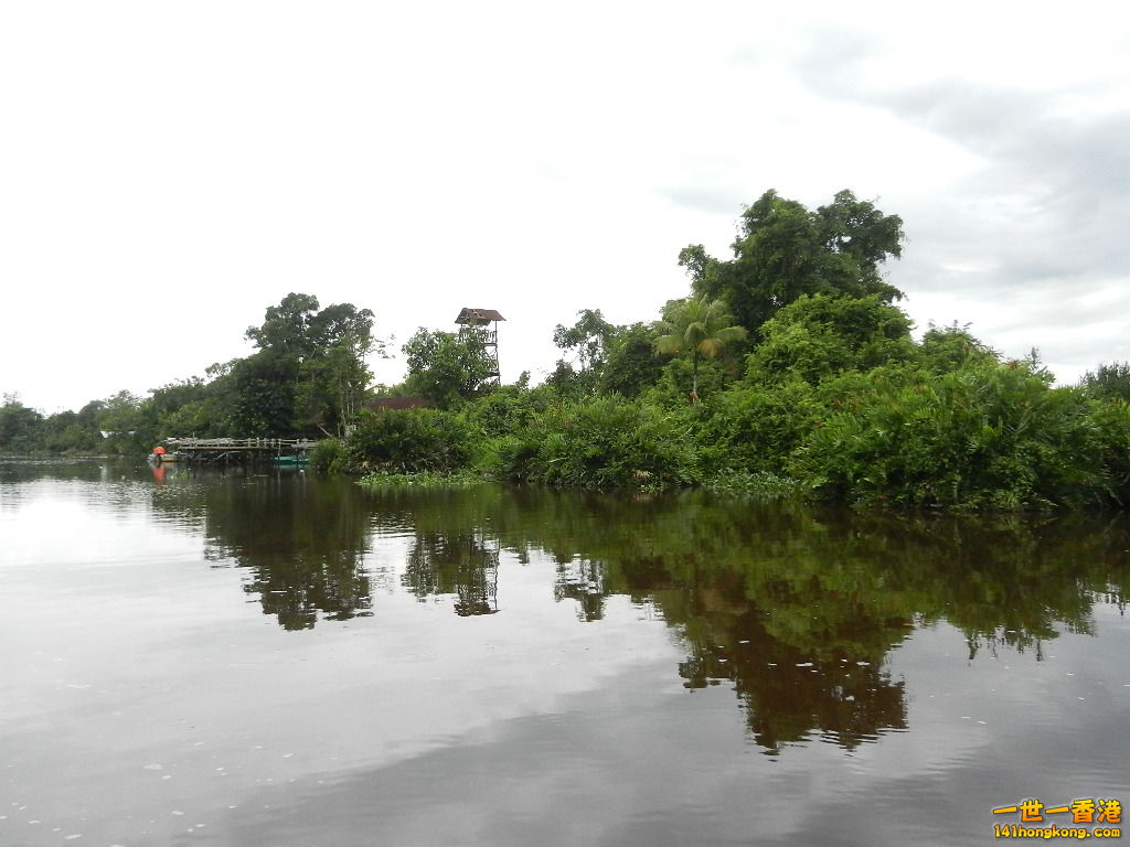 DSCN4495.JPG