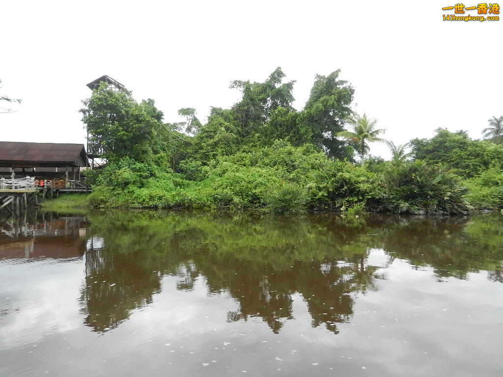 DSCN4497.JPG