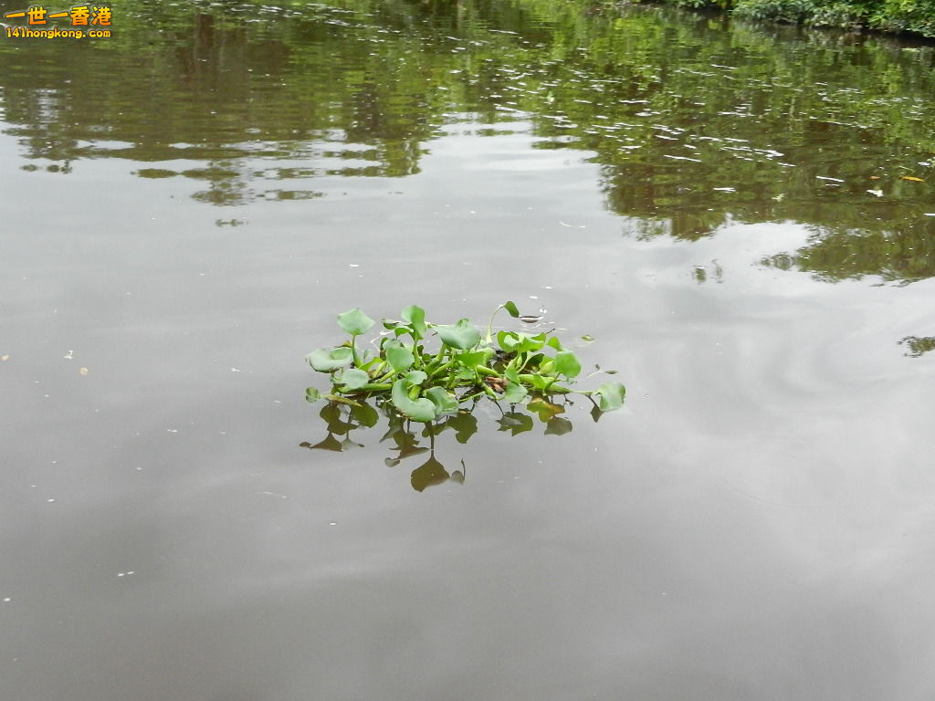 DSCN4514.JPG