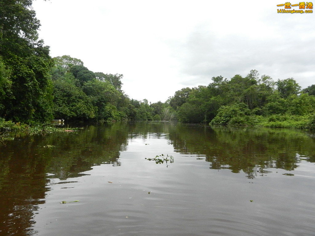 DSCN4515.JPG