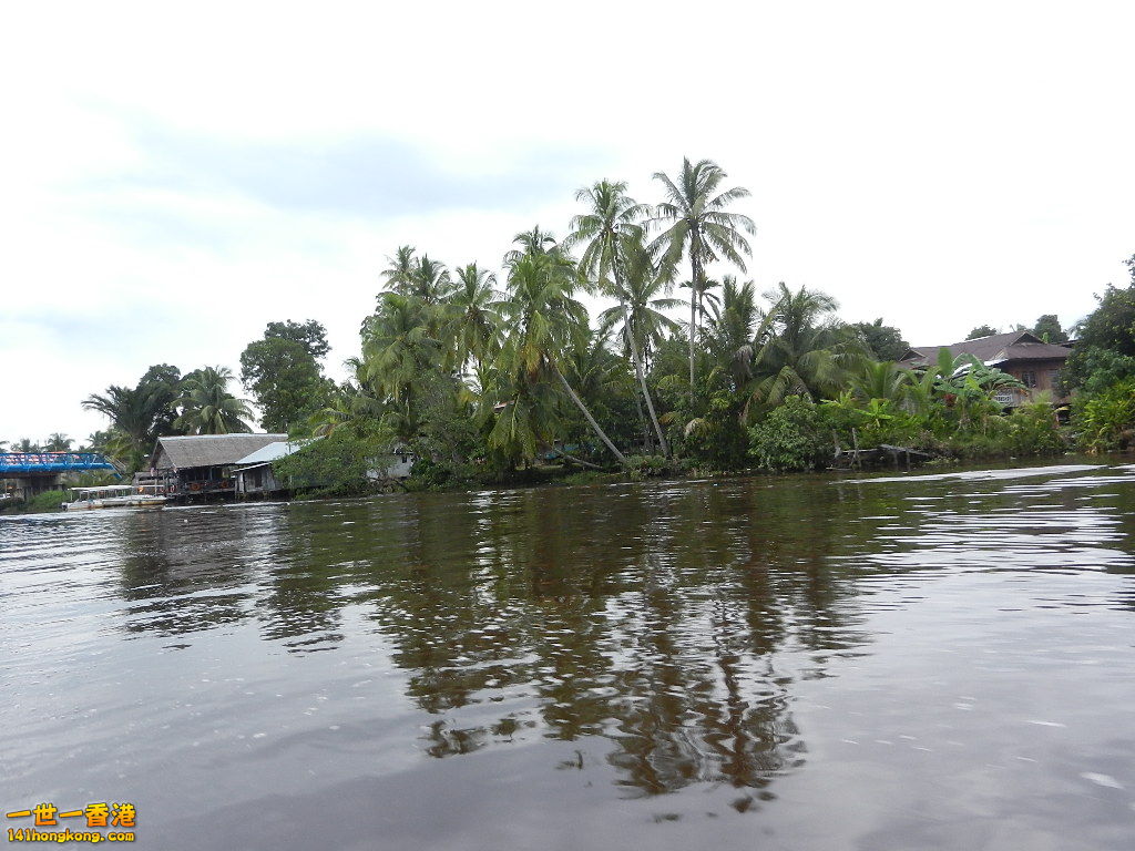 DSCN4528.JPG