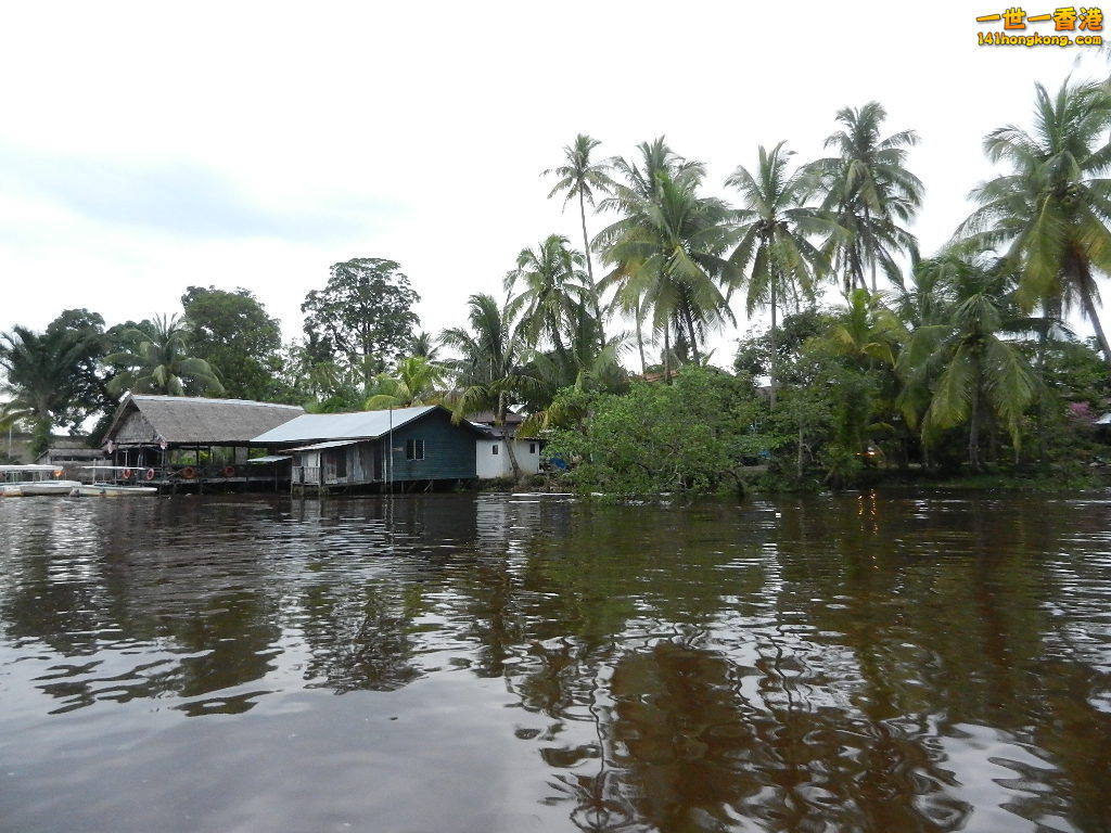 DSCN4529.JPG