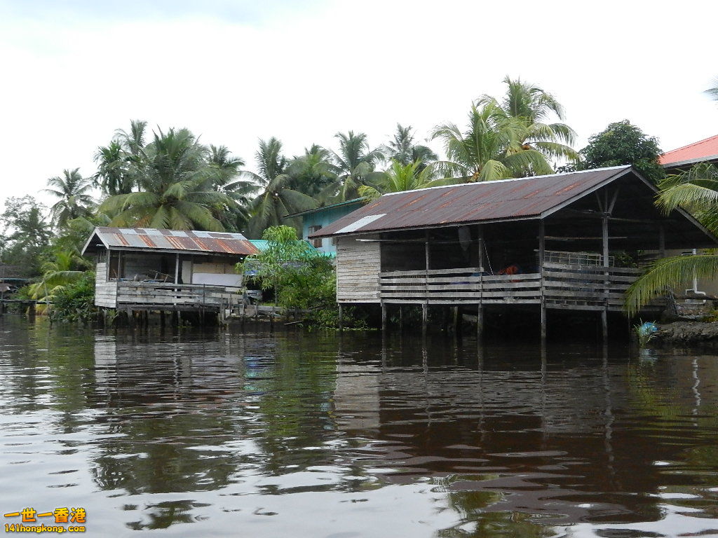 DSCN4531.JPG