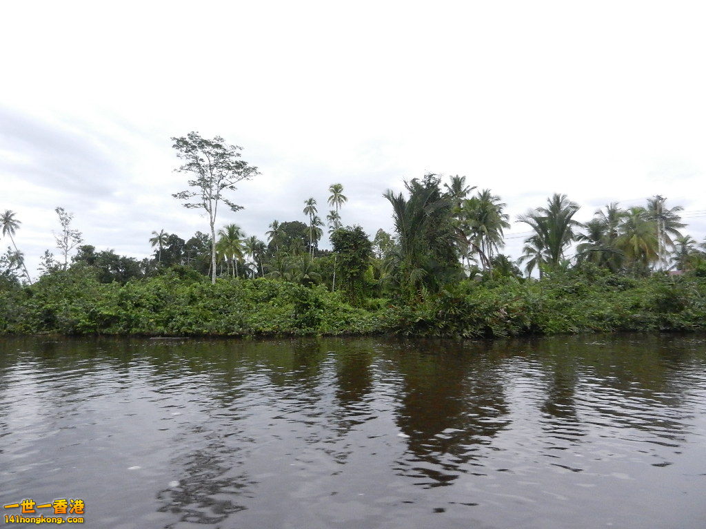 DSCN4534.JPG