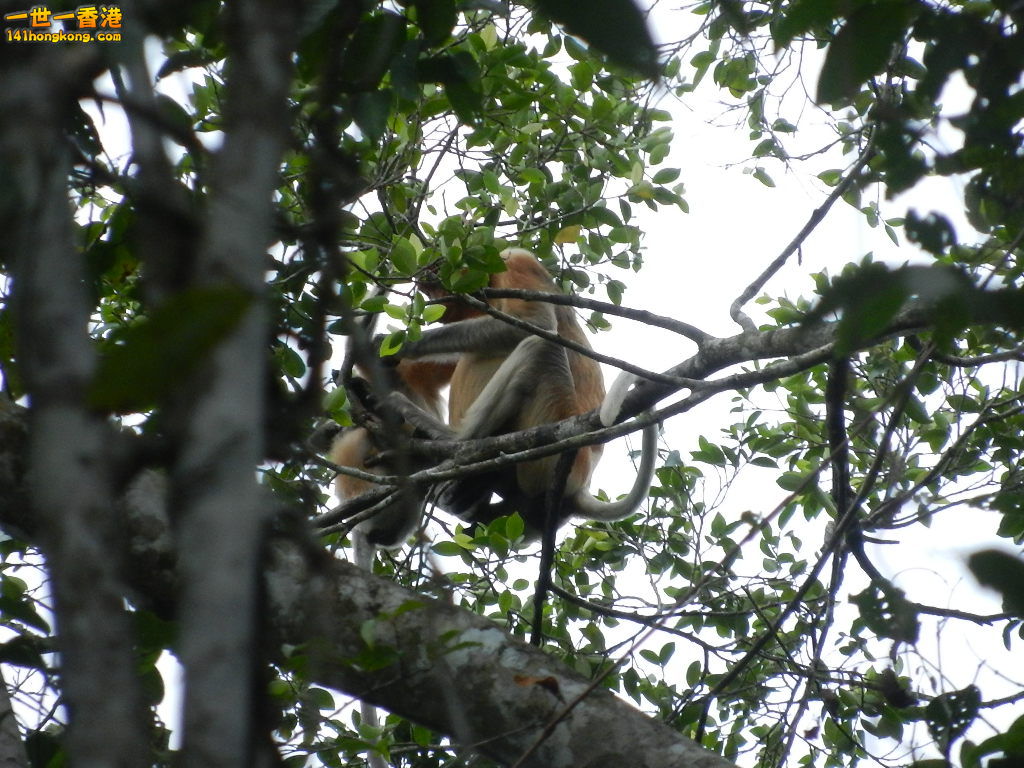 DSCN4537.JPG
