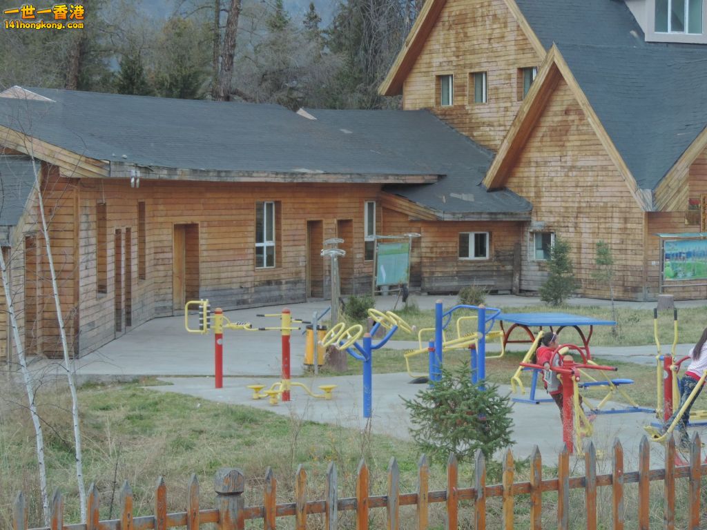 (37).JPG