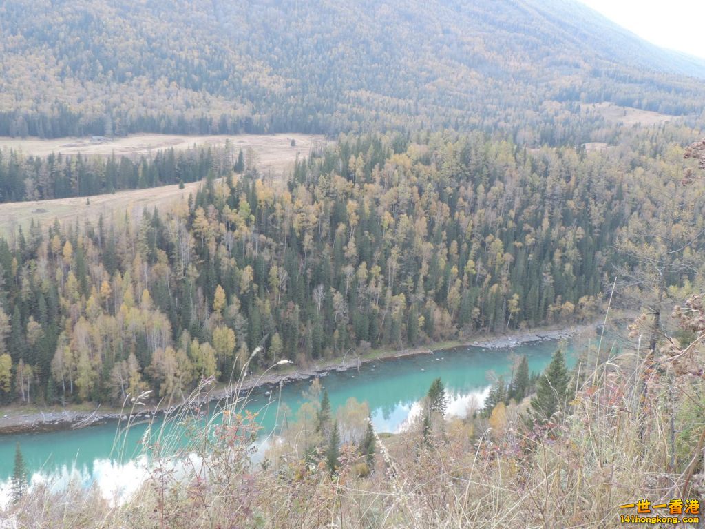 (94).JPG