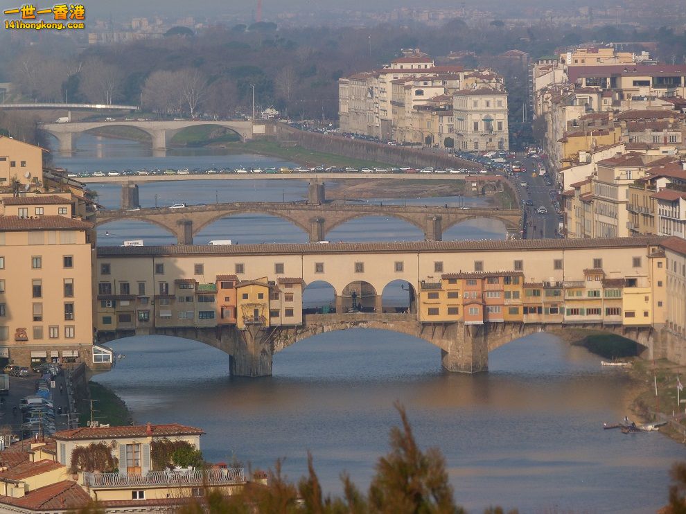 P1010564.jpg