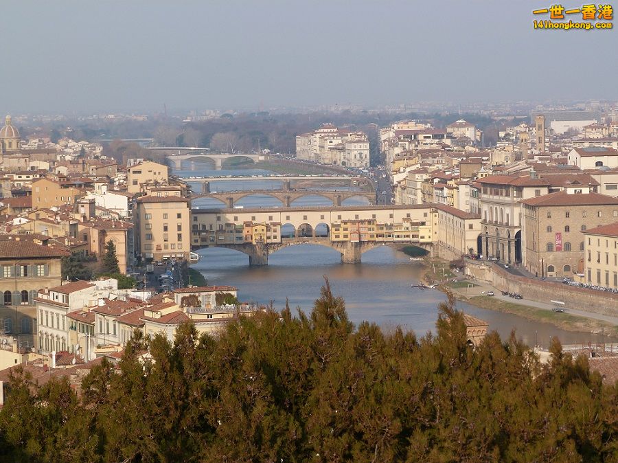 P1010565.jpg