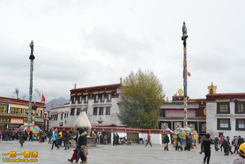 DSC_8546 [800x600].jpg