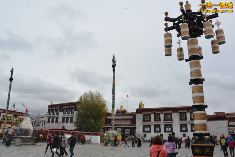 DSC_8547 [800x600].jpg