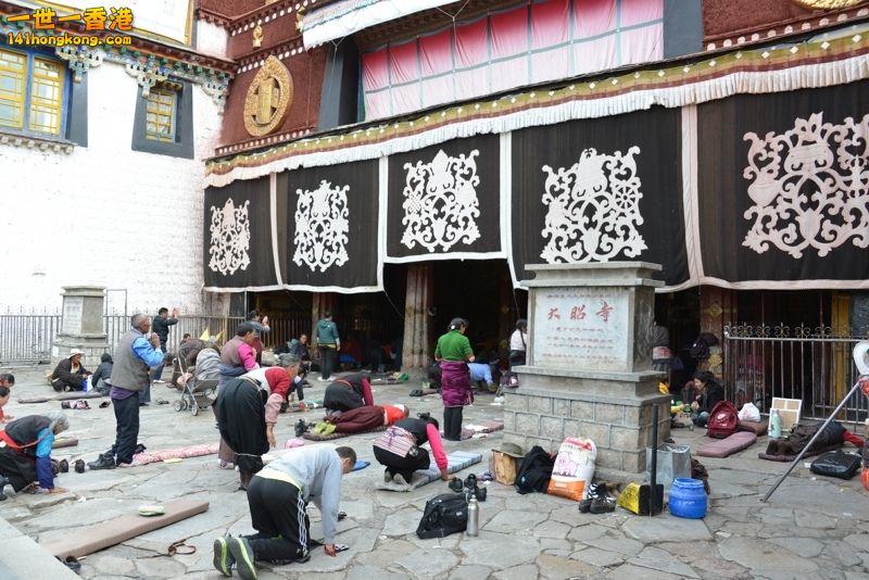 DSC_8551 [800x600] [800x600].jpg