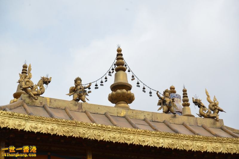 DSC_8558 [800x600].jpg