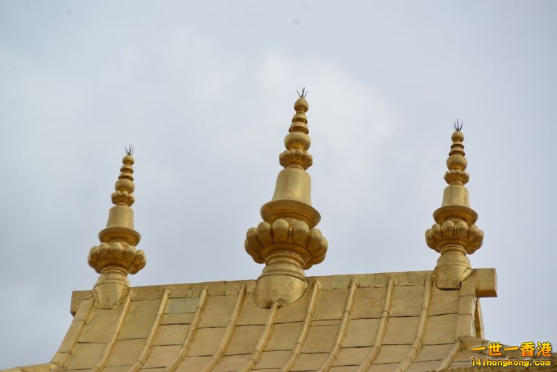 DSC_8559 [800x600].jpg