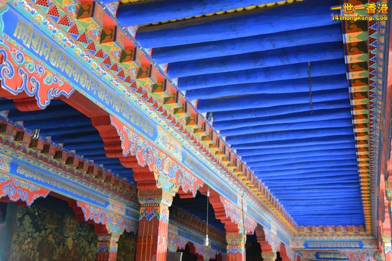 DSC_8560 [800x600] [800x600].jpg