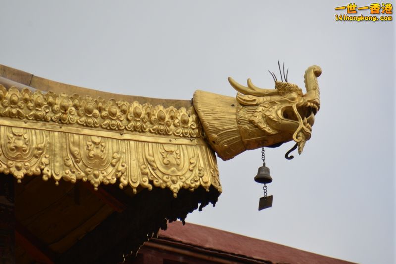 DSC_8562 [800x600].jpg