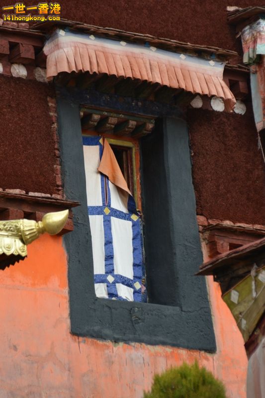 DSC_8563 [800x600].jpg