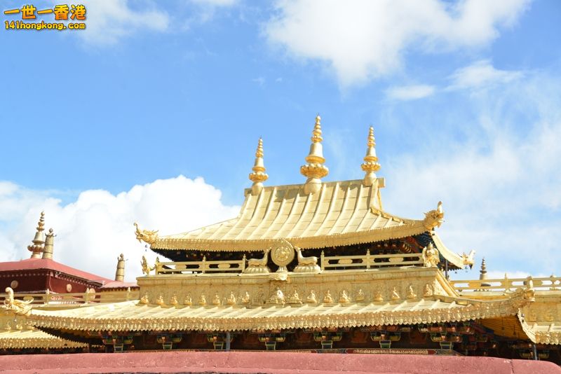 DSC_8571 [800x600].jpg