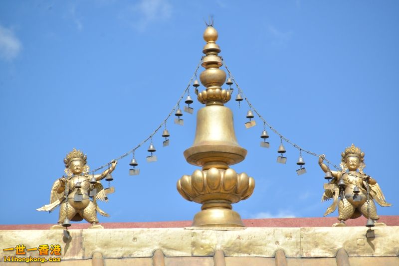 DSC_8572 [800x600].jpg