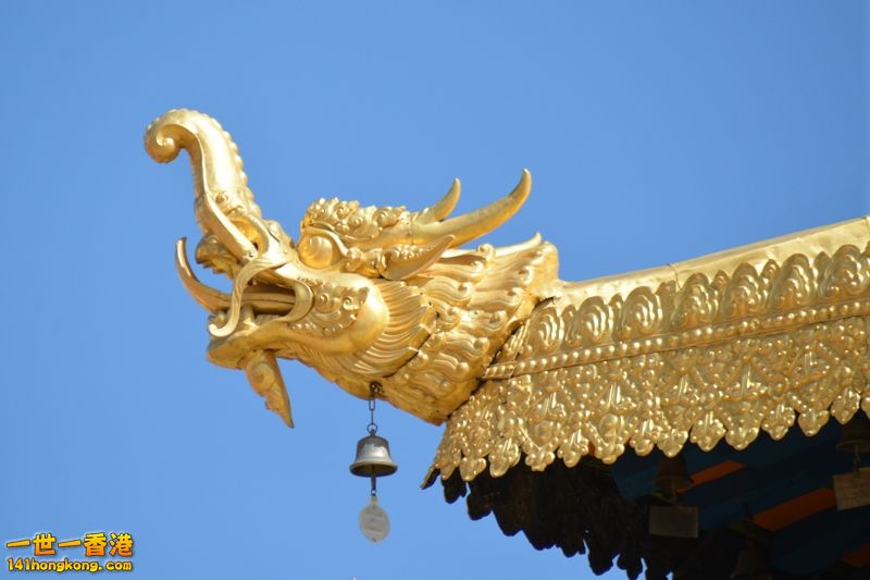 DSC_8573 [800x600].jpg