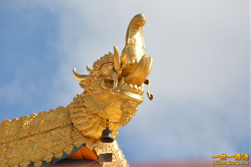 DSC_8574 [800x600].jpg