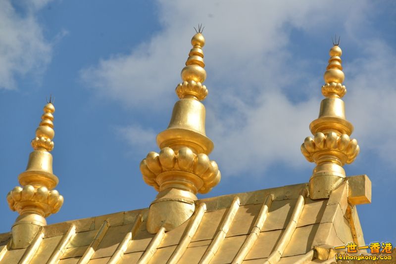 DSC_8575 [800x600].jpg