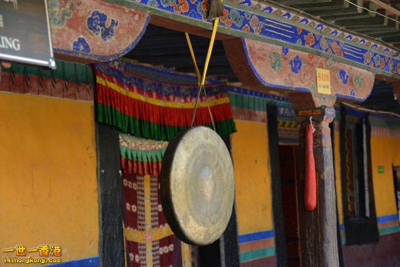 DSC_8576 [800x600].jpg