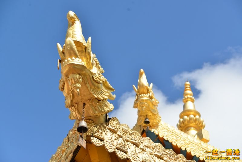 DSC_8579 [800x600].jpg