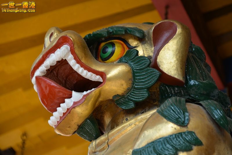 DSC_8580 [800x600].jpg