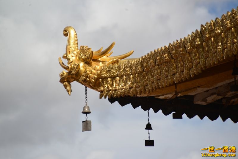 DSC_8581 [800x600].jpg