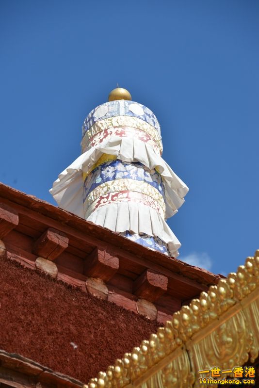 DSC_8583 [800x600].jpg