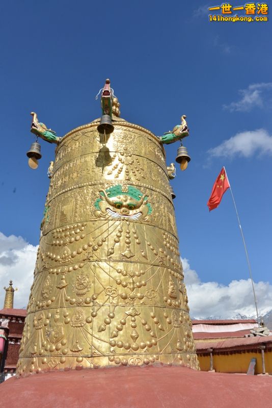 DSC_8585 [800x600].jpg