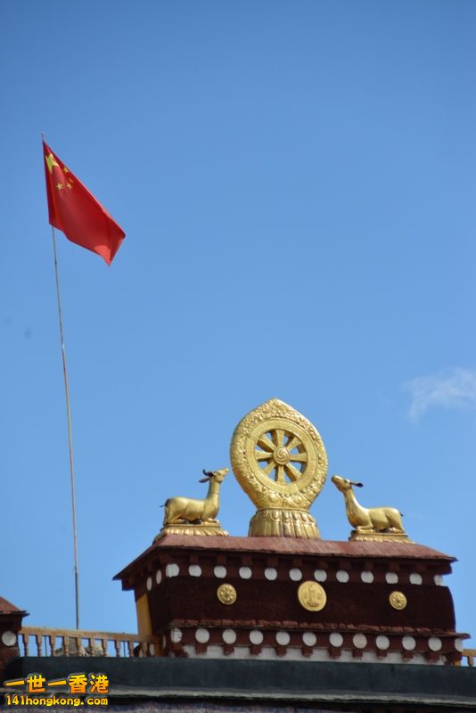 DSC_8604 [800x600].jpg