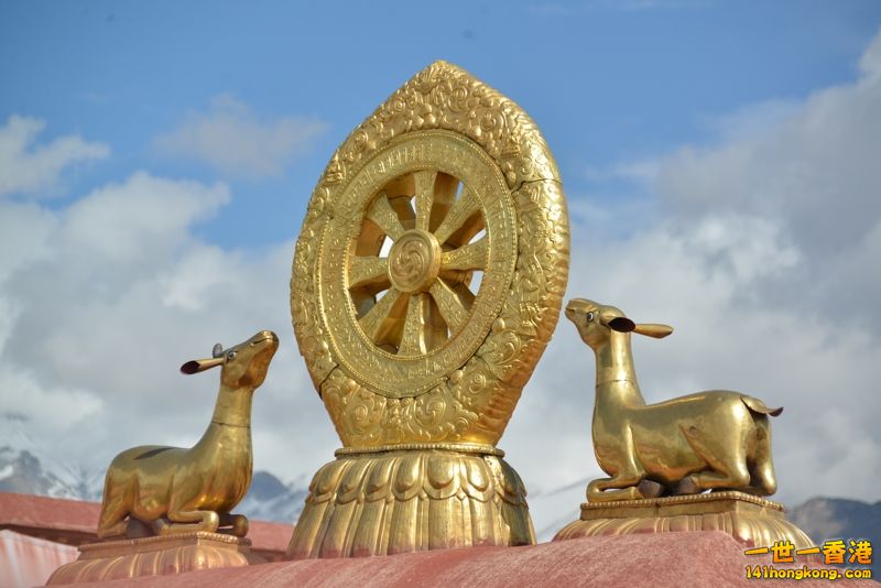 DSC_8591 [800x600].jpg