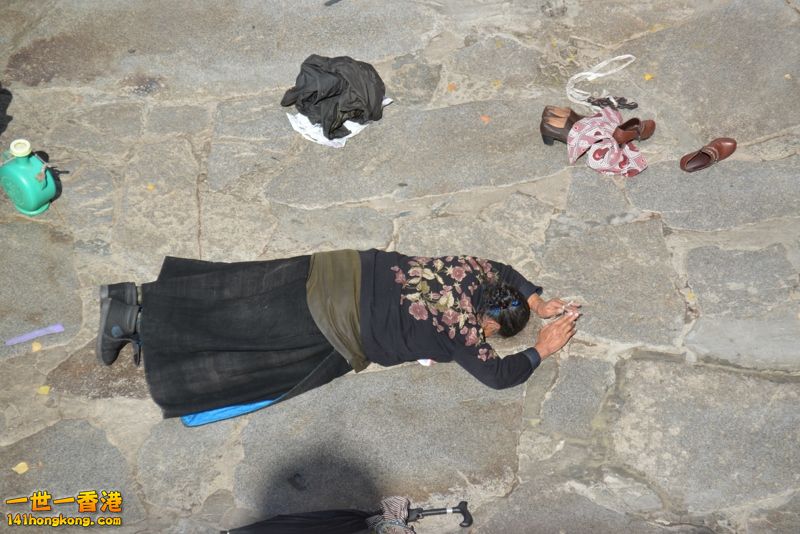 DSC_8594 [800x600].jpg