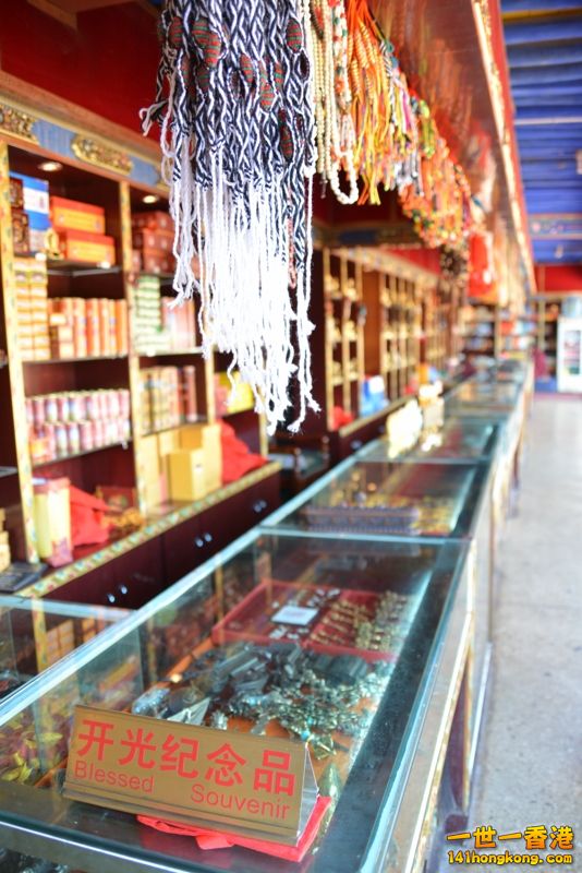 DSC_8601 [800x600].jpg