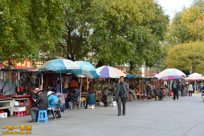 DSC_8616 [800x600] [800x600].jpg