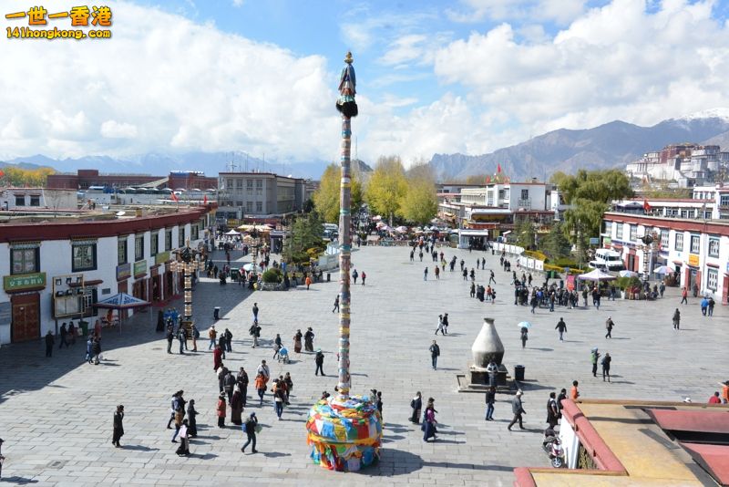 DSC_8587 [800x600].jpg