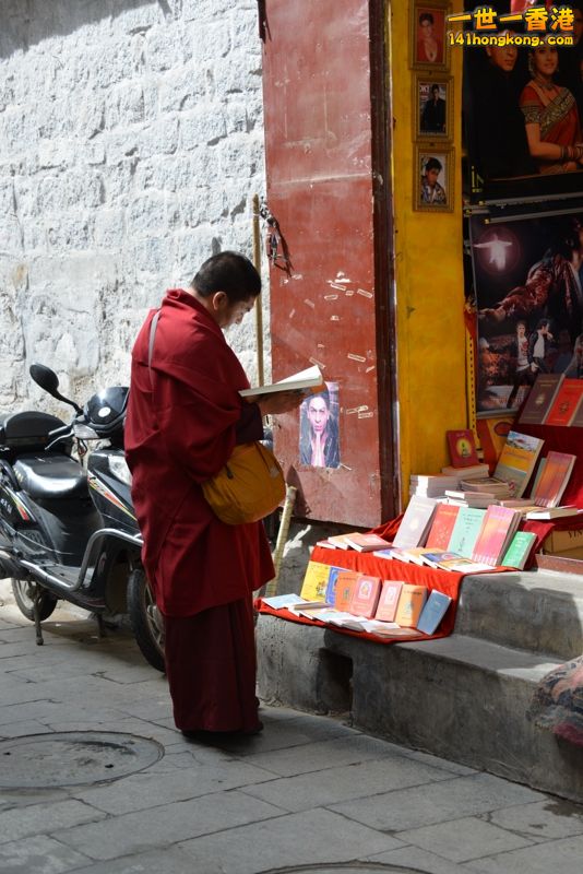 DSC_8611 [800x600].jpg