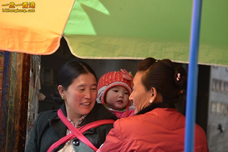 DSC_8612 [800x600].jpg