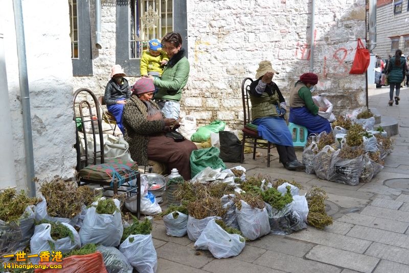 DSC_8614 [800x600] [800x600].jpg