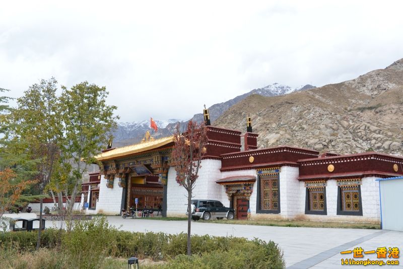 DSC_8619 [800x600].jpg